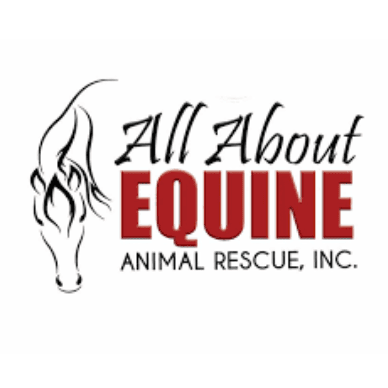 All About Equine logo